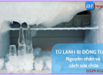 Tủ Lạnh Bị Đóng Tuyết: Nguyên Nhân, Cách Khắc Phục